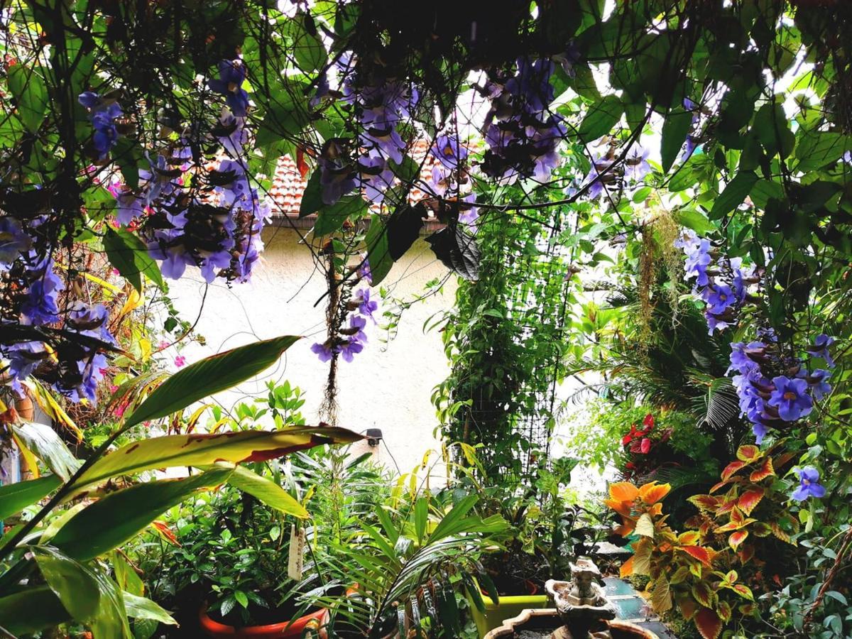 Romantic Casa Lorenzina Affittacamere Ventimiglia Buitenkant foto