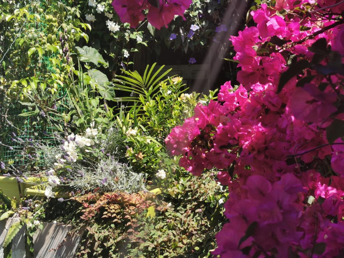 Romantic Casa Lorenzina Affittacamere Ventimiglia Buitenkant foto