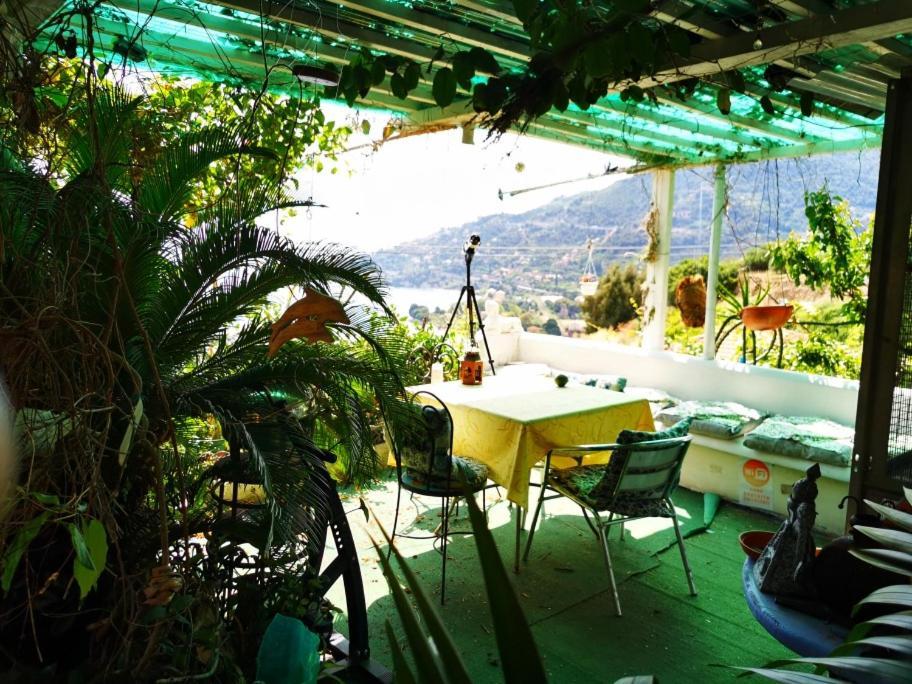 Romantic Casa Lorenzina Affittacamere Ventimiglia Buitenkant foto