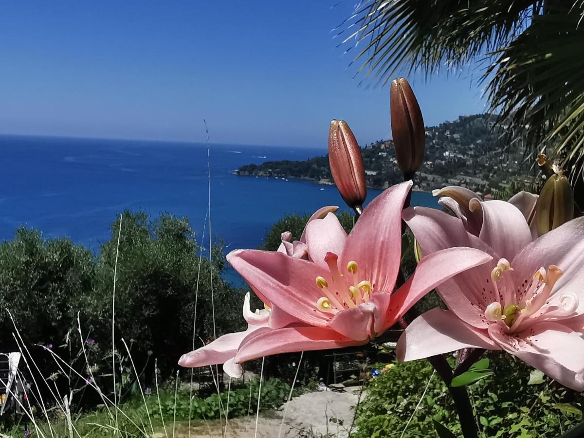 Romantic Casa Lorenzina Affittacamere Ventimiglia Buitenkant foto