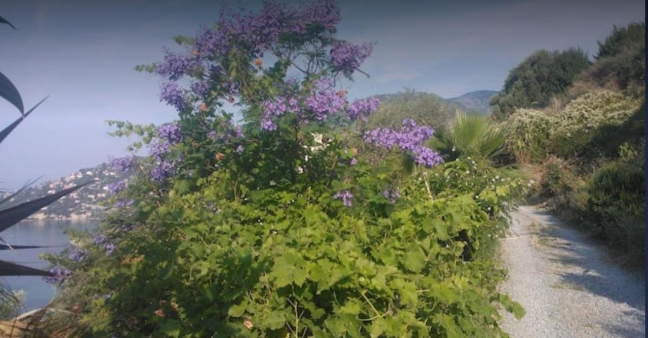 Romantic Casa Lorenzina Affittacamere Ventimiglia Buitenkant foto