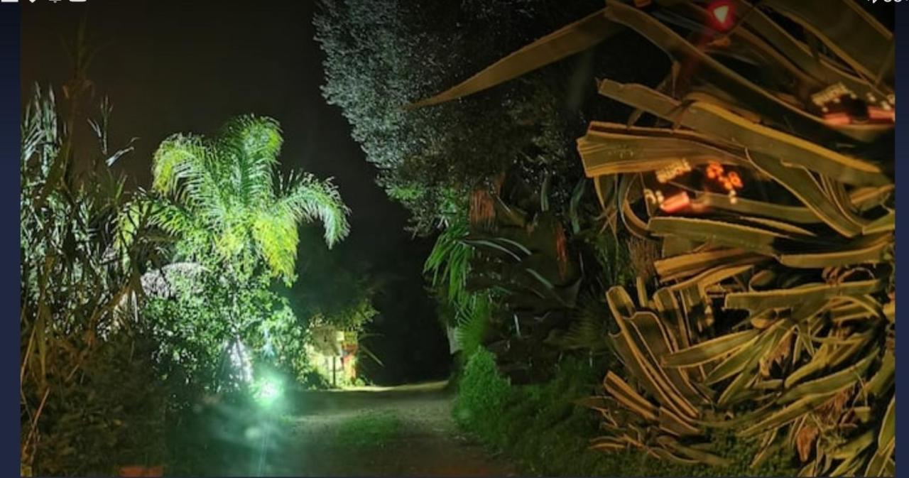 Romantic Casa Lorenzina Affittacamere Ventimiglia Buitenkant foto