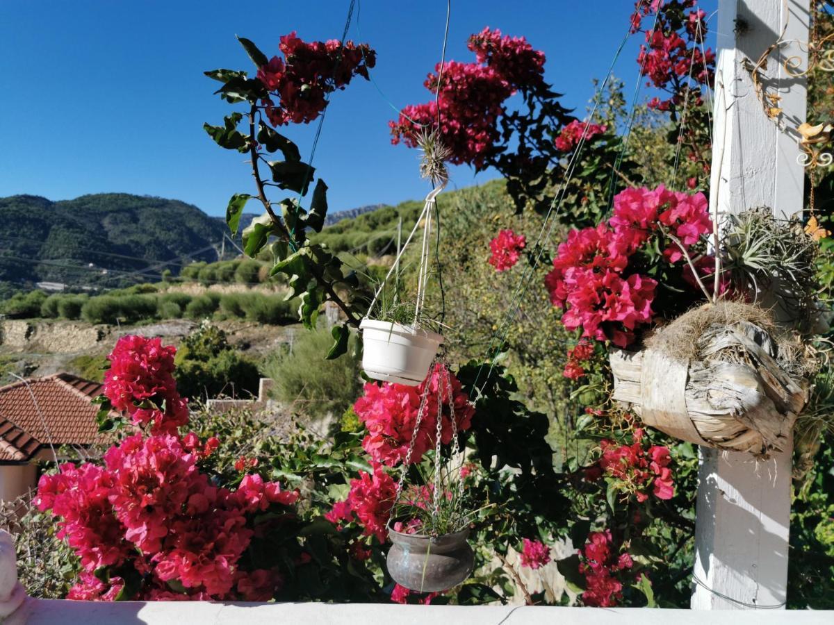 Romantic Casa Lorenzina Affittacamere Ventimiglia Buitenkant foto