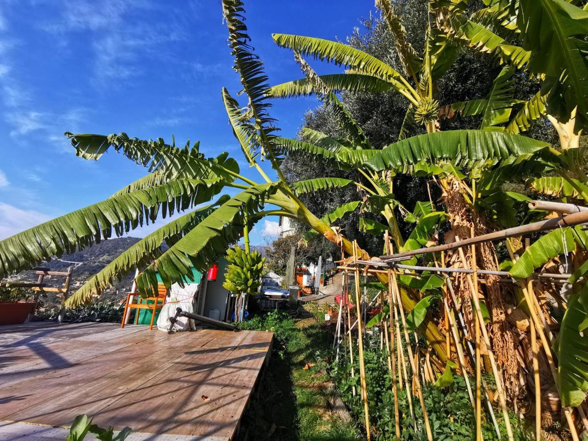 Romantic Casa Lorenzina Affittacamere Ventimiglia Buitenkant foto